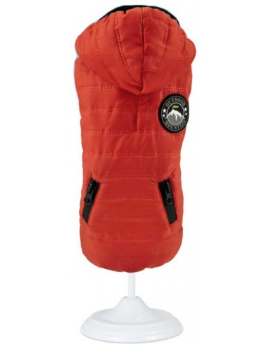 Chaqueta para perro modelo Casual