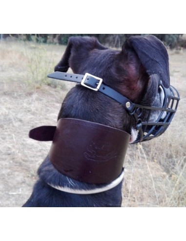 Collares galgos piel flor ancho marrón