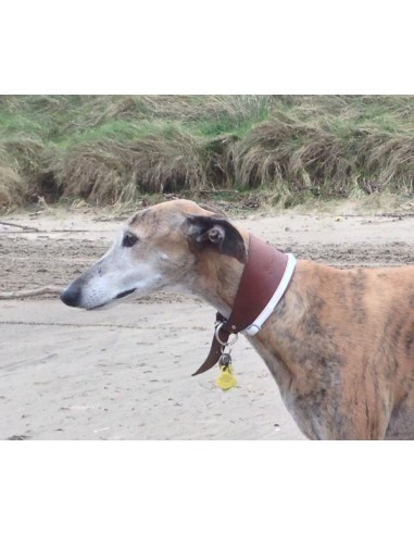 Collares galgos piel flor ancho marrón