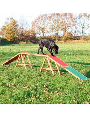 Pasarela de agility para perros