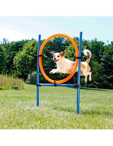 Aro de agility para perros
