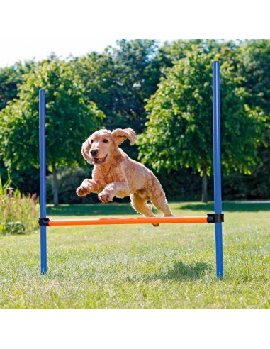 Valla de agility para perros