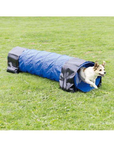 Túnel de agility para perros pequeños