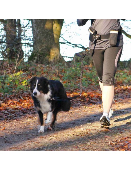 Cinturón Canicross con amortiguador + bolsillo móvil + snacks + agua