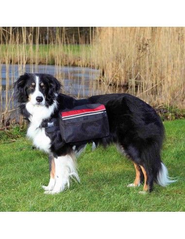 Mochila para Perros