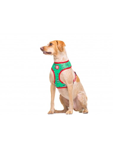 Arnés 2 en 1 reversible para perro de neopreno Popcorn
