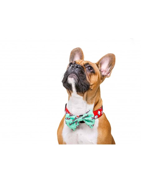 Pajarita Popcorn original Dukier para perro