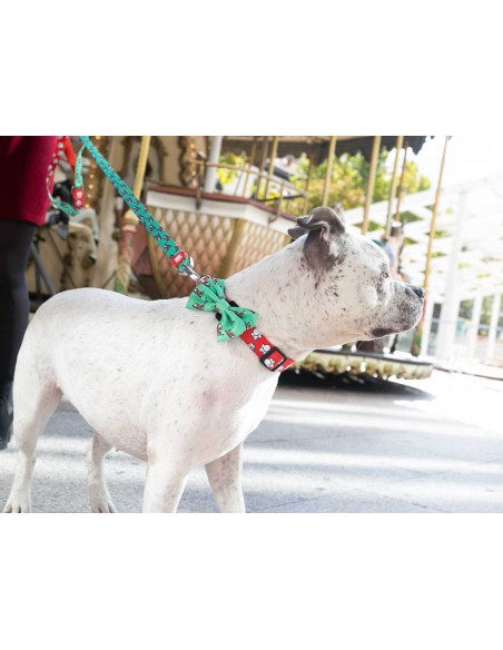 Pajarita Popcorn original Dukier para perro