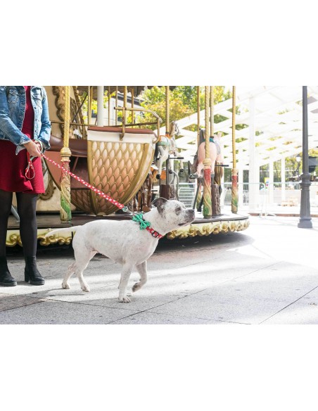 Pajarita Popcorn original Dukier para perro