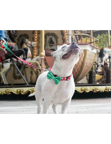 Pajarita Popcorn original Dukier para...