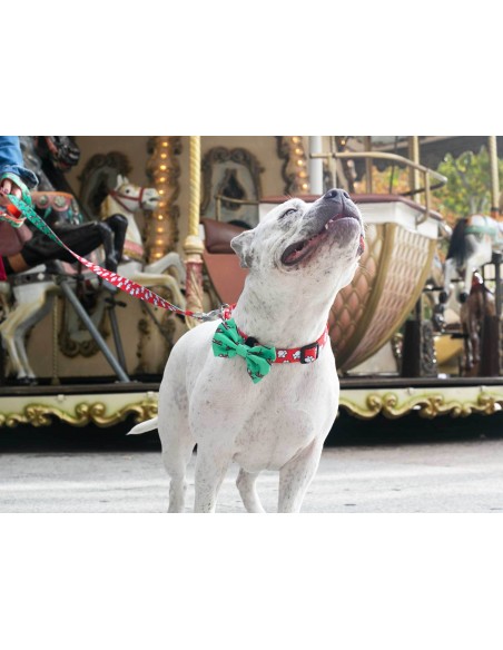 Pajarita Popcorn original Dukier para perro