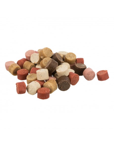 Soft Snack Mini Trainer Dots con Salmón