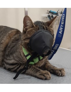 Bozal nylon gato