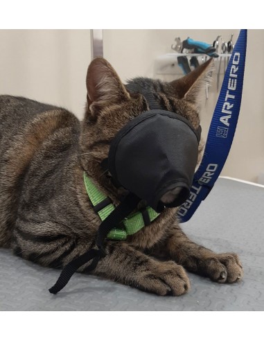 Bozal nylon gato