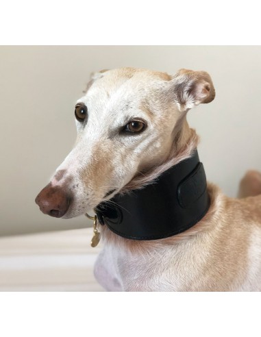 collar piel galgo