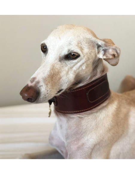 collar piel marron galgo collar piel marron galgo