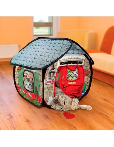 casa de juegos gato