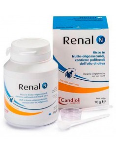 Renal N