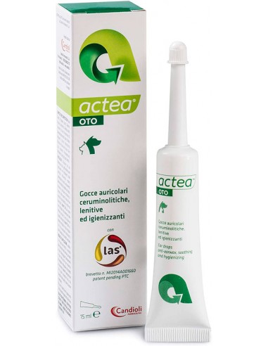 Actea Oto