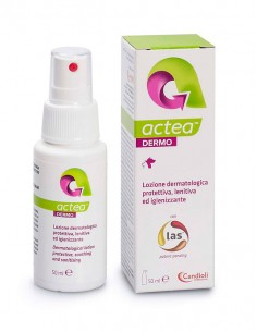 Actea dermo