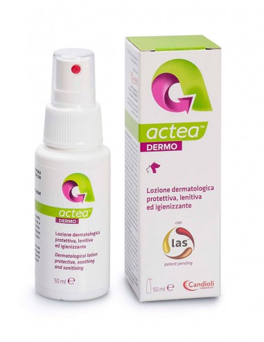 Actea dermo