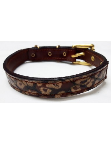collar perro piel doble marron