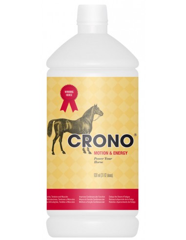crono-motion-energy-caballos