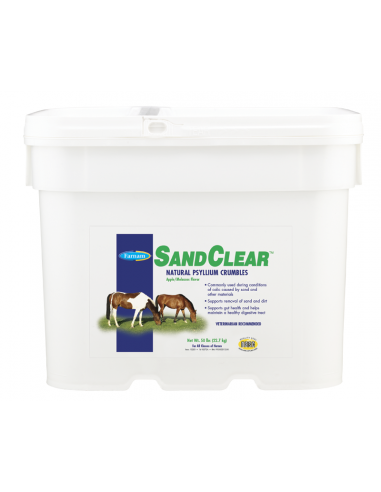 sand-clear-caballos