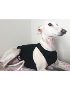 Peto para galgo en lycra