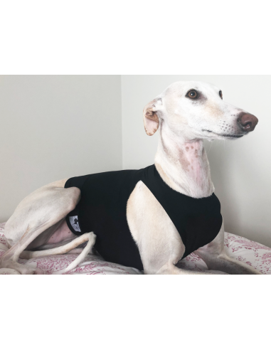 Peto para galgo en lycra
