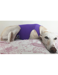 Peto para galgo en lycra