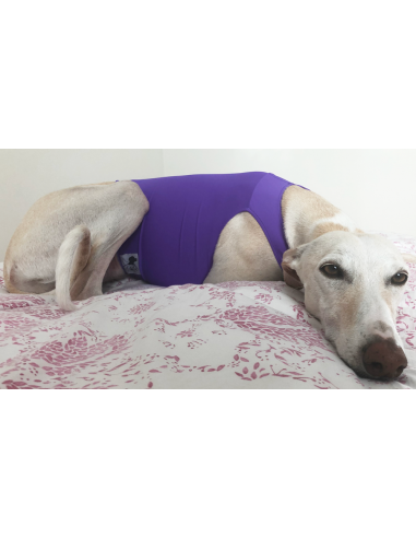 Peto para galgo en lycra