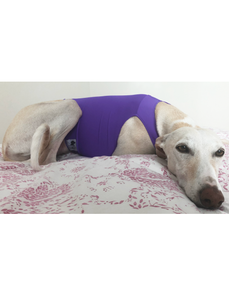Peto para galgo en lycra Peto para galgo en lycra
