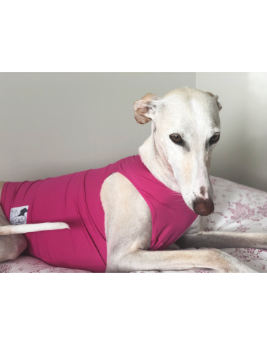 Peto para galgo en lycra