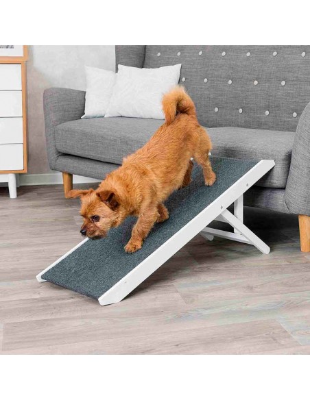 Rampa para perros en madera DM Rampa para perros en madera DM