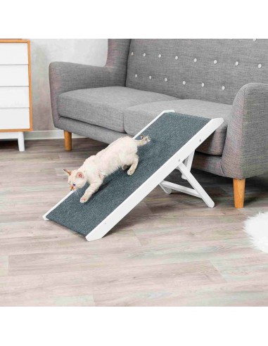 Rampa para perros en madera DM Rampa para perros en madera DM