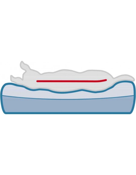 cama ortopedica perro bendson