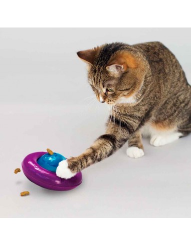 dispensador de alimento para gato