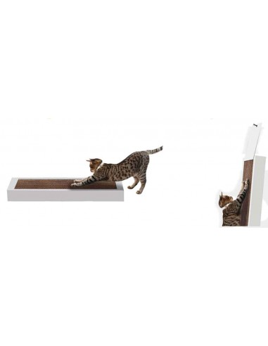 rascador economico para gato