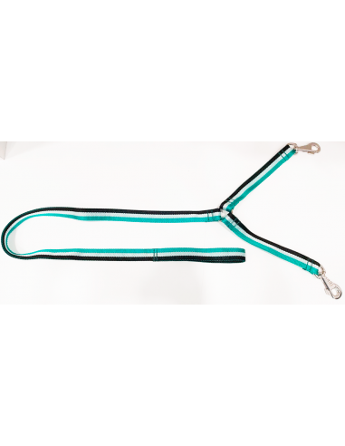 correa 2 perros nylon verde