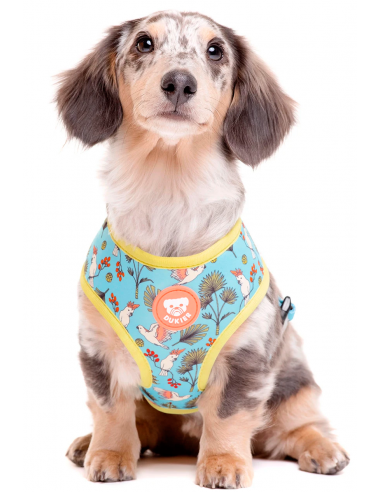 Arnés para perros DUKIER modelo Birds
