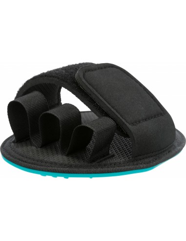 cepillo masaje perro