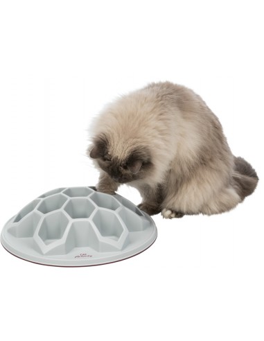 juguete interactivo gato