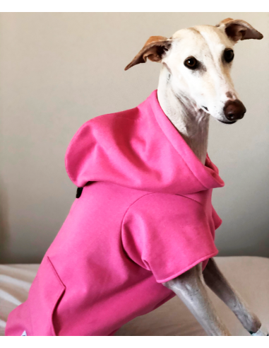 sudadera para galgo