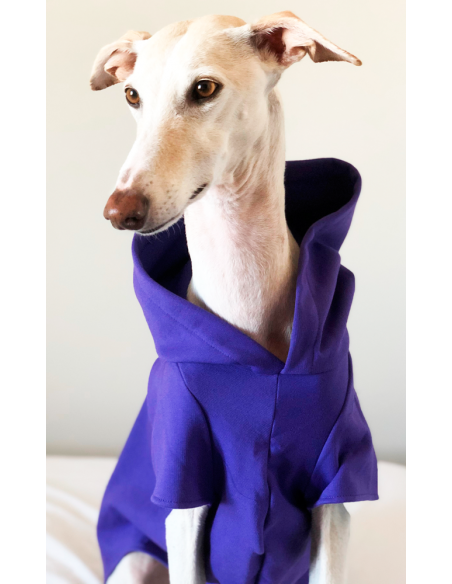 sudadera para galgo