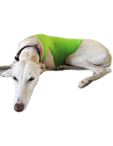 Peto para galgo en lycra verde pistacho