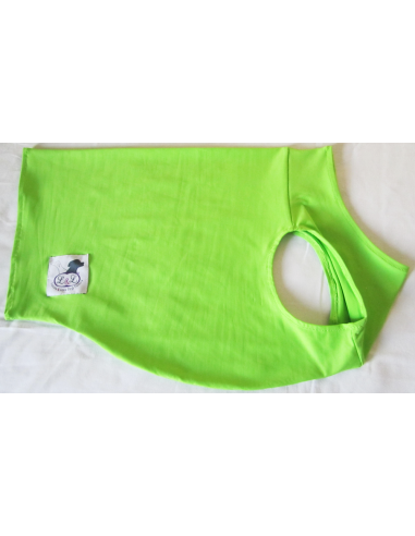 Peto para galgo en lycra verde pistacho