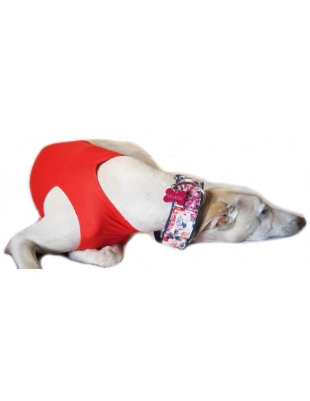 Peto para galgo en lycra coral