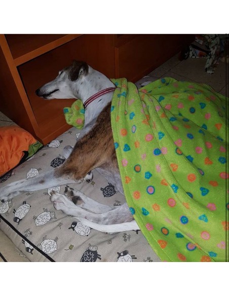 Manta de felpa para perro extrasuave verde