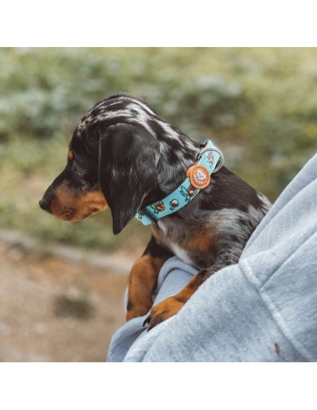 Collar de Neopreno Dukier Tortuga